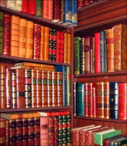 Жизнь в книгах