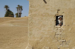 Махмуд